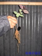 ����Ǥ�������