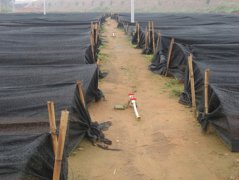 �ƻ���ѿ��