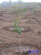 �ƻ���ѿ��