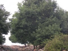 ���ù����㣩