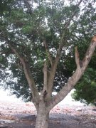 ���ù����㣩