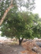 ���ù����㣩